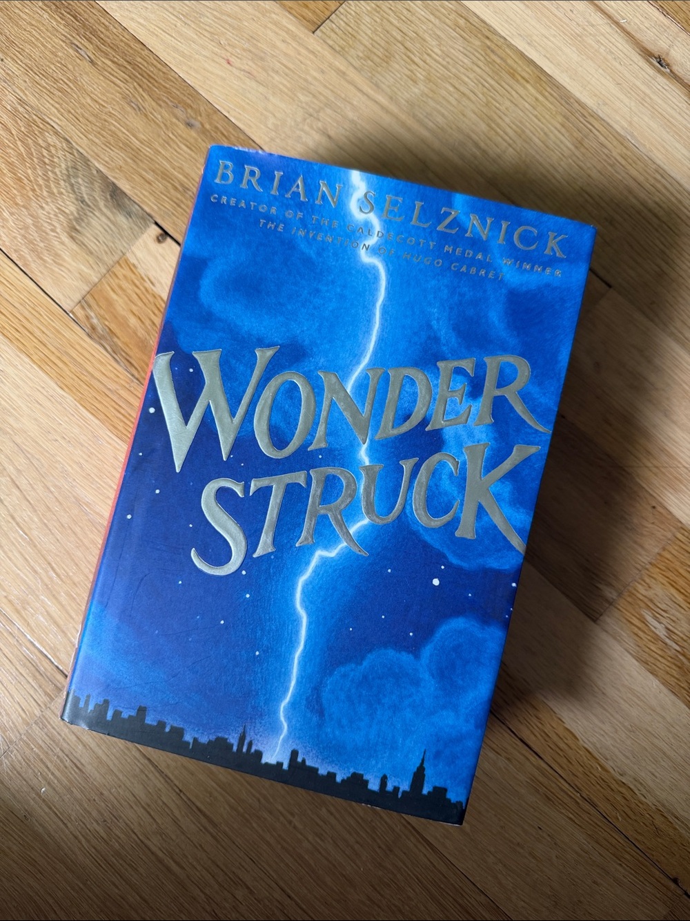 Wonderstruck by Brian Selznick First Edition Hardcover - Signed by Author ✍️ 🐺